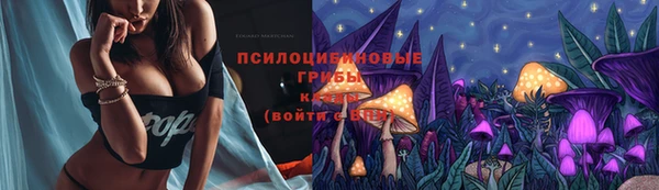 прущие крисы Зеленокумск