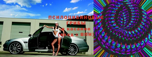 прущие крисы Зеленокумск