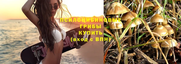 прущие крисы Зеленокумск