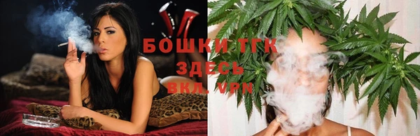 прущие крисы Зеленокумск